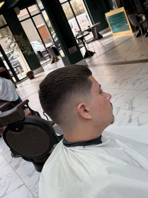 Lucrare Robert Emil — coerență în execuție