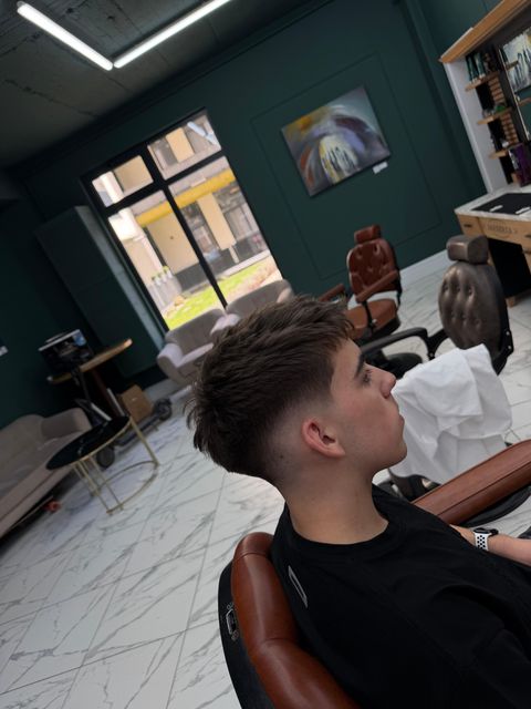 Lucrare Robert Emil — claritate și proporție